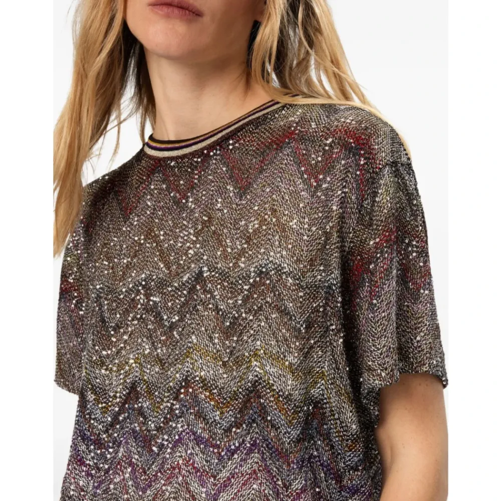 Missoni T-Shirts*Stribet Paillet Sweater Multifarvet