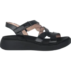Wonders Sandaler*Cordelia Sandal - Kvinder Sort