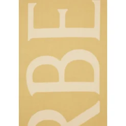 Burberry Tørklæder*Stilfulde Tørklæder og Sjal Samling Beige